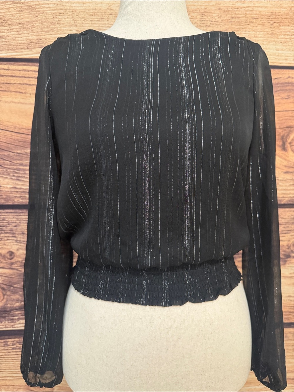 Japna Black Sheer Blouse with Metallic Pinstripes